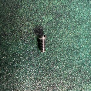 Cartier Santos Schraube für 1564, 1565, 1566, 187901, 987901, W20017D6, W20018D6