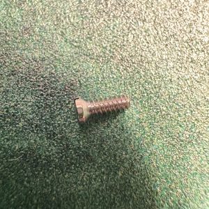 Cartier Santos Schraube Lünette für 2319, 4072, W2SA0030, W2SA0009, WSSA0009